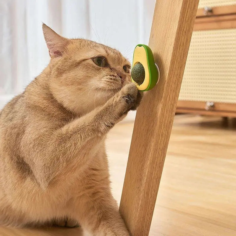 Rotating Pet Toy Healthy Intestine Cat Spin Edible Catnip Toy Balls Avocado Cat Toy Mint Flavor